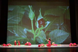 Planet vrtnic <em>Foto: &copy;foto DAKA</em>