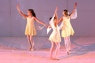 Vile <em>Foto: ©FotoDaka</em>